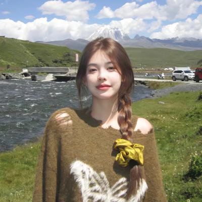 哈兰·科本的庇护所